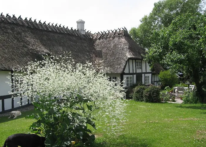 ホステル Faldsled Hostel